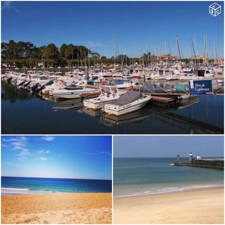 Studio Cap Sud Capbreton proche plage - Studio Apartment - 11