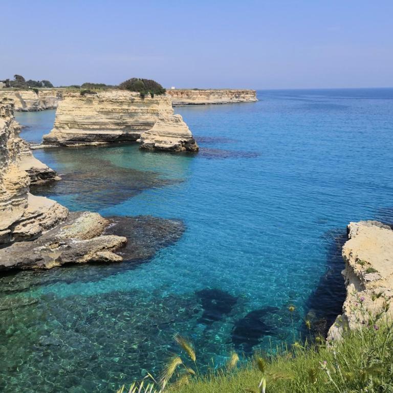 Oasi di Mare - Appartamento - 2