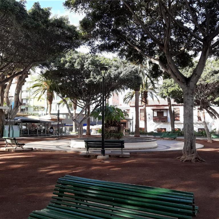 San Pedro Family Beach - Apartamento - 2 niveles - 24