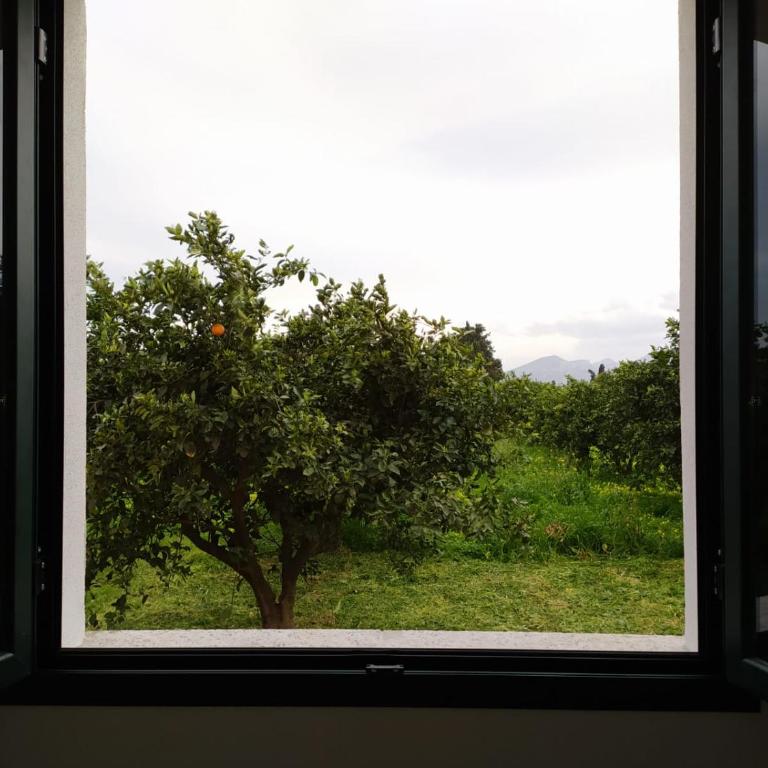 Residenza Maria Antonia - Country House - Appartamento con 1 Camera da Letto - 14