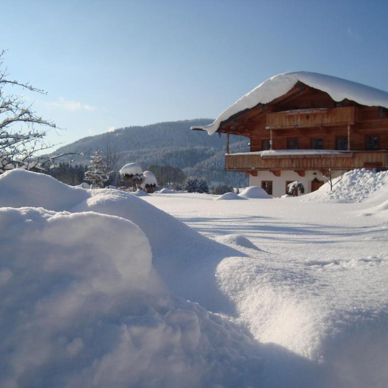 Ferienwohnung Regina Holzner - Apartment mit Blick auf die Berge - 12