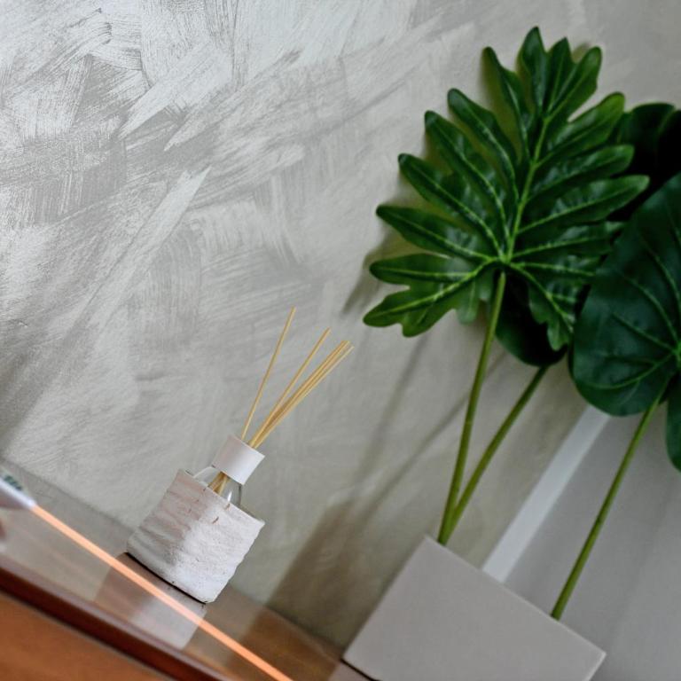 Casa Centro - Appartamento - 4