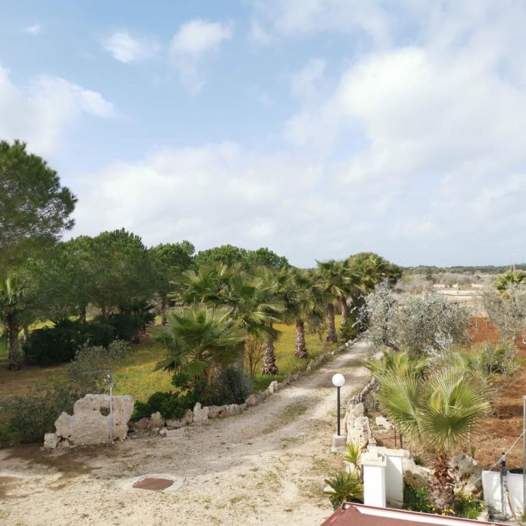 La Casa Nella Pineta - Gallipoli - Appartamento - Piano Terra - 4