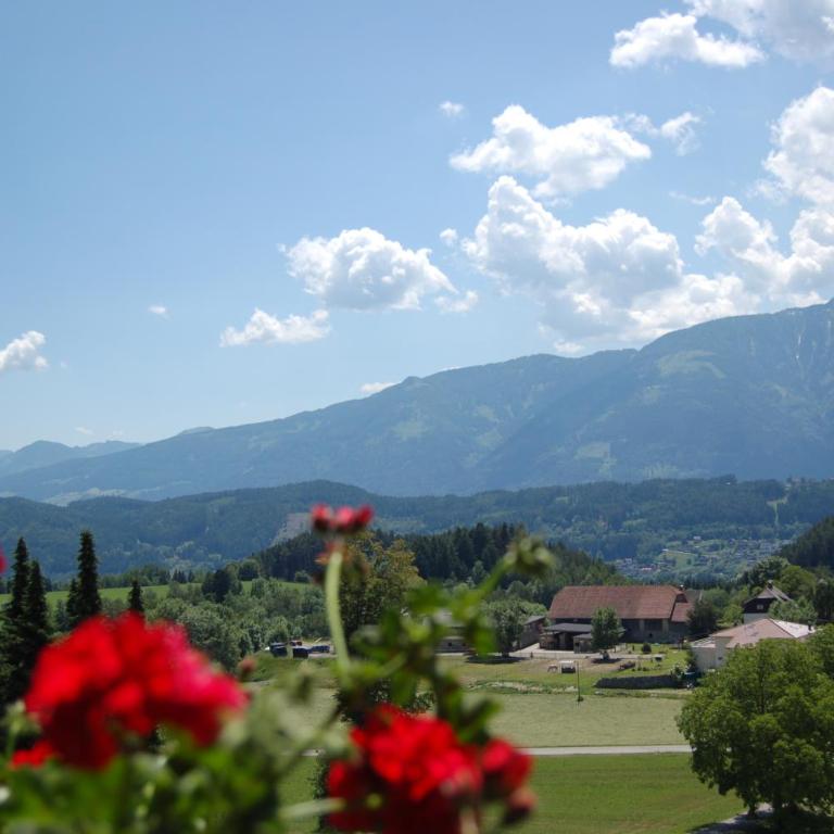 Sommereck Appartements - Two-Bedroom Apartment with Mountainview - 6