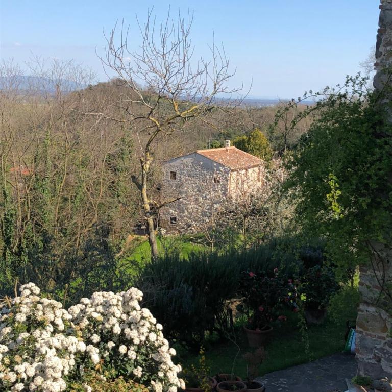 DOLCE VITA IN TUSCANY Cottage - Casa con 1 Camera da Letto - 12