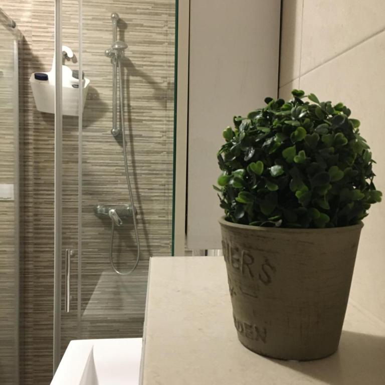 Fantastic Apartment De LUX - Apartman sa 1 Spavaćom Sobom - 11