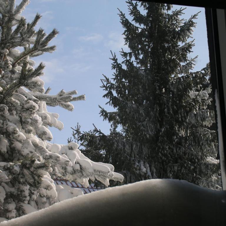 Starloft Kopaonik - Two-Bedroom Apartment - 19