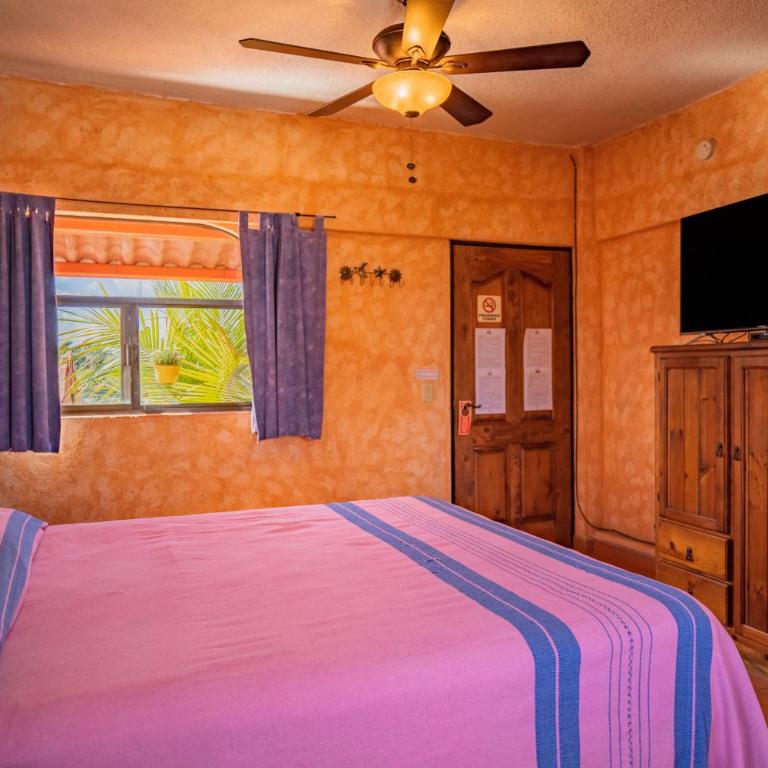 Hotel Posada Luna Sol - Habitación Estándar - Cama extragrande - 6