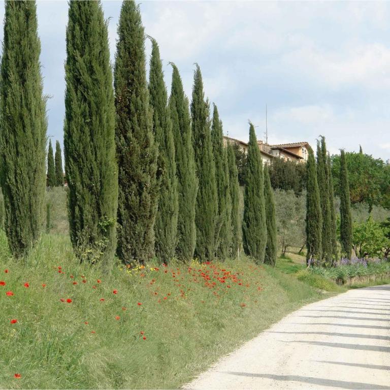 Giaggiolo - Appartamento con 3 Camere da Letto - 37