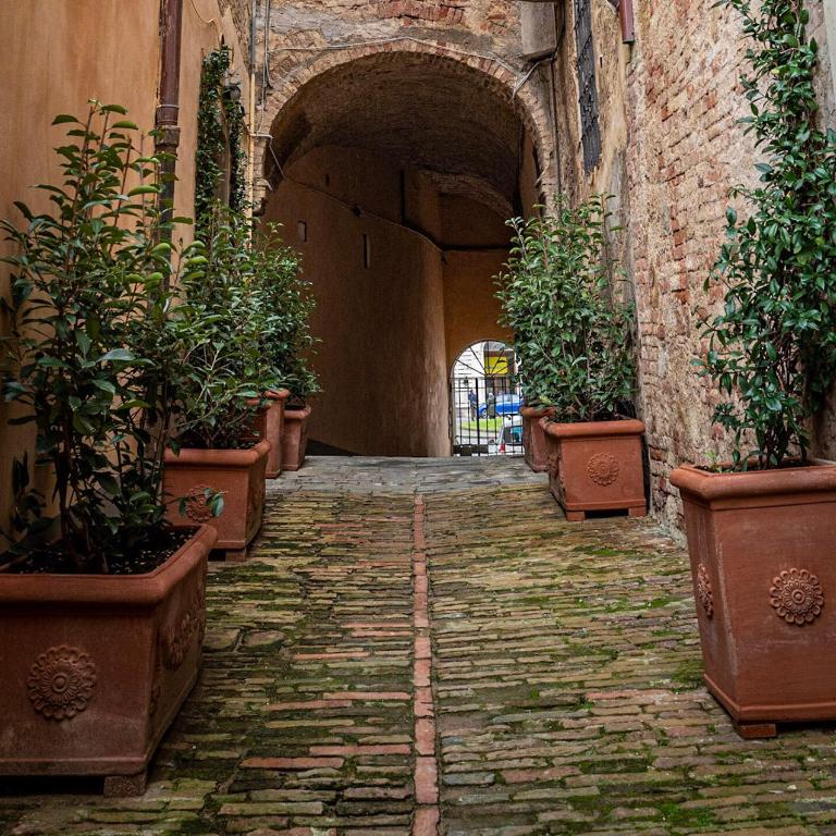 Domus Nannini SPA - L' Arco di Matteotti - Suite Apartment - 24