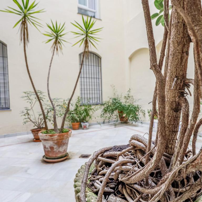 Chic&luminoso-WifiAC/Elegant apt in Salvador 2 BR - Apartamento - 36