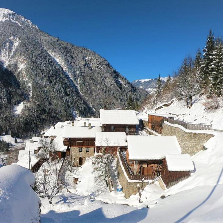 Chalet les marmottes - Two-Bedroom Chalet - 2