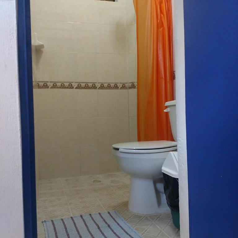 Hostal Las Cruces - Cama individual en habitación compartida - 4 camas - 1