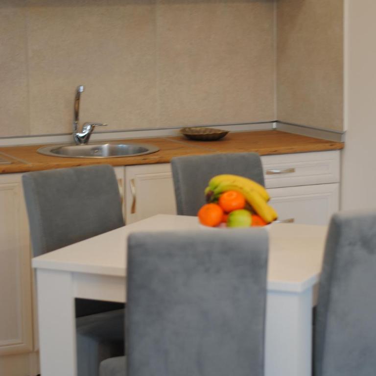 Apartmani CENTAR Vrnjacka Banja & Free Parking - One-Bedroom Apartment - 44