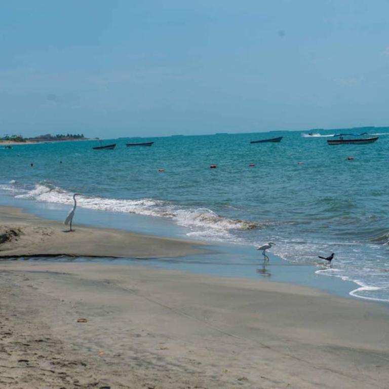 Acogedor con vista al mar en Condominio Zazue a 300 metros de la playa Bellohorizonte Santa Marta - Three-Bedroom Apartment - 20