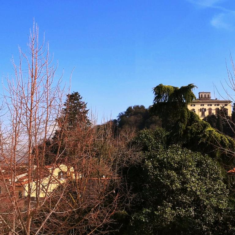 Home Sweet Home in Florence - Appartamento - 14