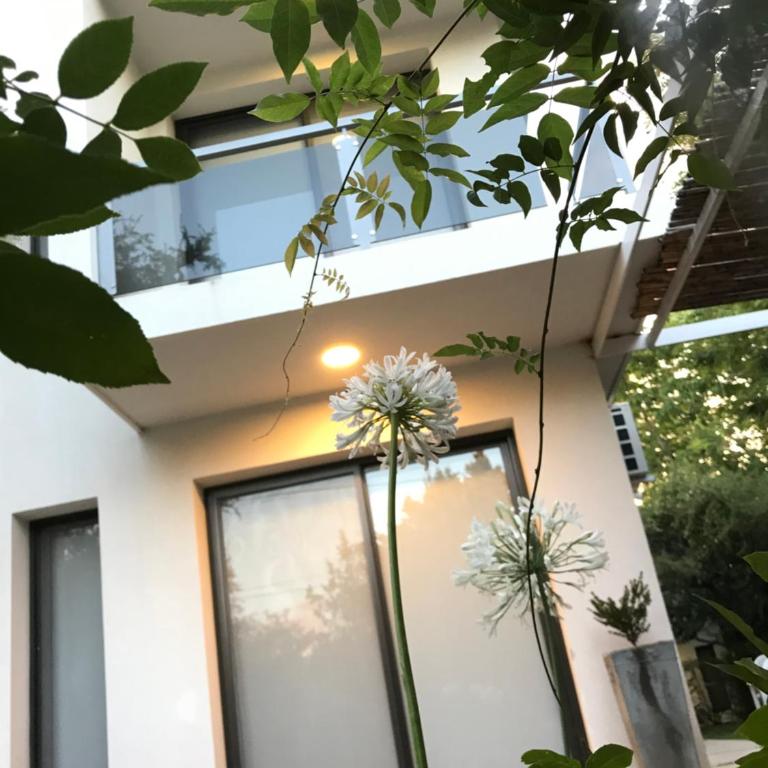 BOULEVARD departamentos - Apartamento Superior - 4