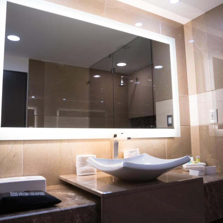 Holiday Inn Queretaro Zona Diamante by IHG - Standard Double Room with Two Double Beds and City View - 4