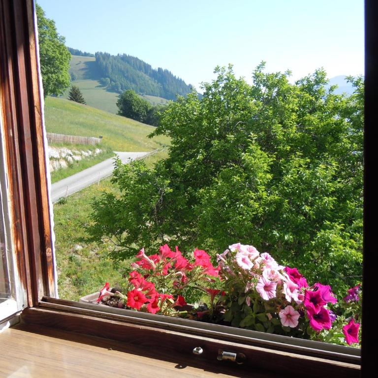 Areithof - Apartment mit 1 Schlafzimmer und Balkon - 37