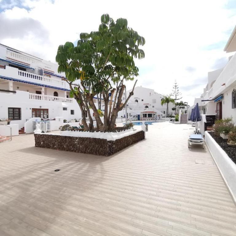 Quiet Studio, Incredible views, Climatized pool, FREE WIFI - Estudio - 29