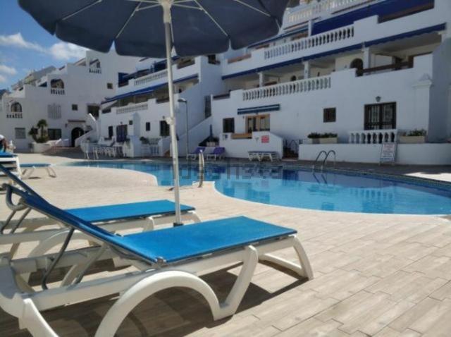 Quiet Studio, Incredible views, Climatized pool, FREE WIFI - Estudio - 18