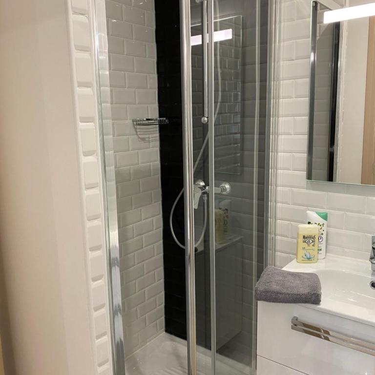 Large and unique souplex 60sqm, well located - Appartement 2 Chambres - 7