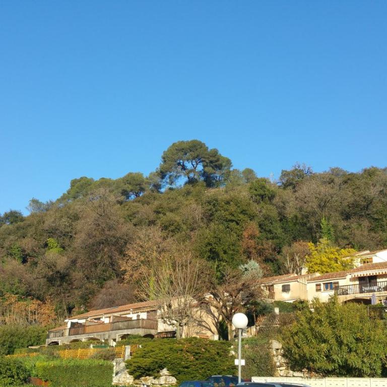 Résidence Cap Azur Appartement 237 - Appartamento con Vista Piscina - 26