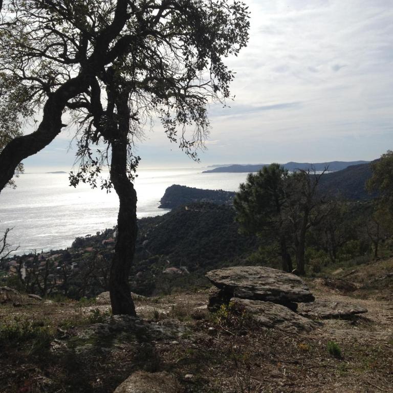 Chemin de la Roseraie - Villa - 24