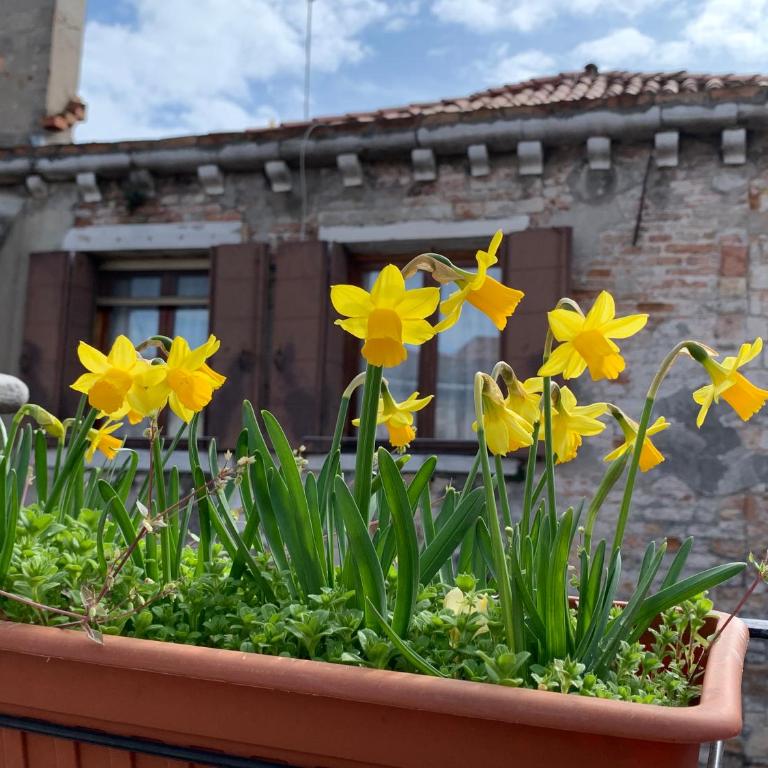 ROOFTOP TERRACE Domus dei fabbri - Appartamento con 1 Camera da Letto - 34
