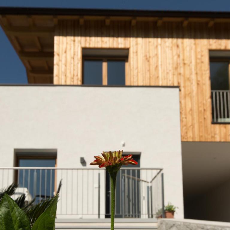Appartements Martinsheim - Apartamento con vistas a las montañas - 17
