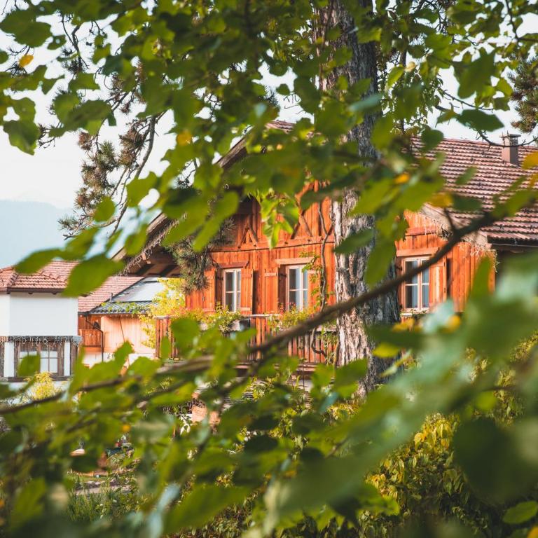 Pineta Natural Chalet - Superior Chalet - 16