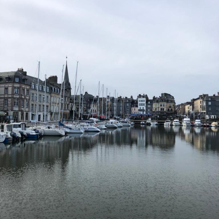Les jardins d Honfleur et sa terrasse privative - Appartement 1 Chambre - 22