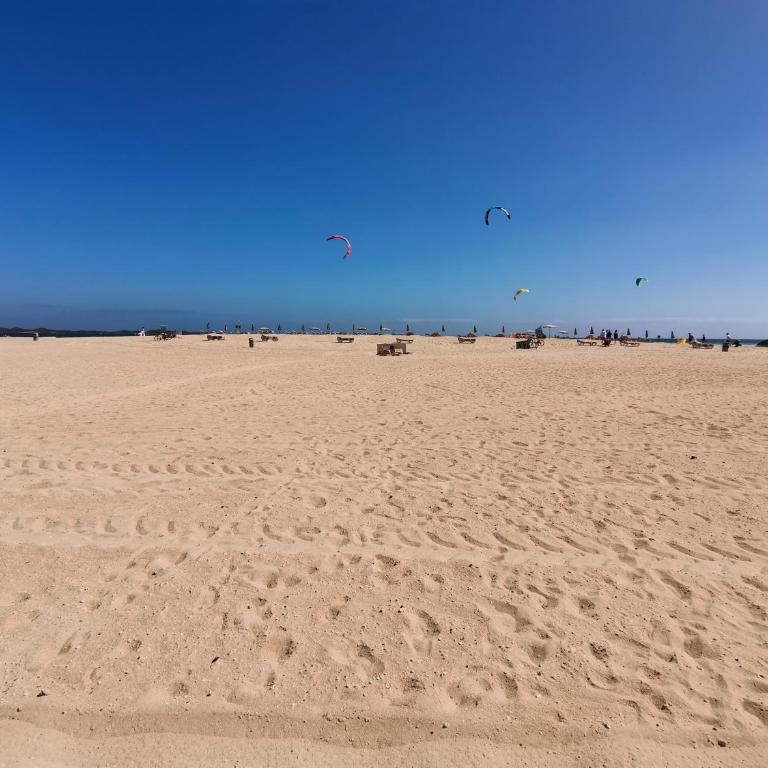 Appartamento Spagnolo Oasis Tamarindo - Apartment - 61