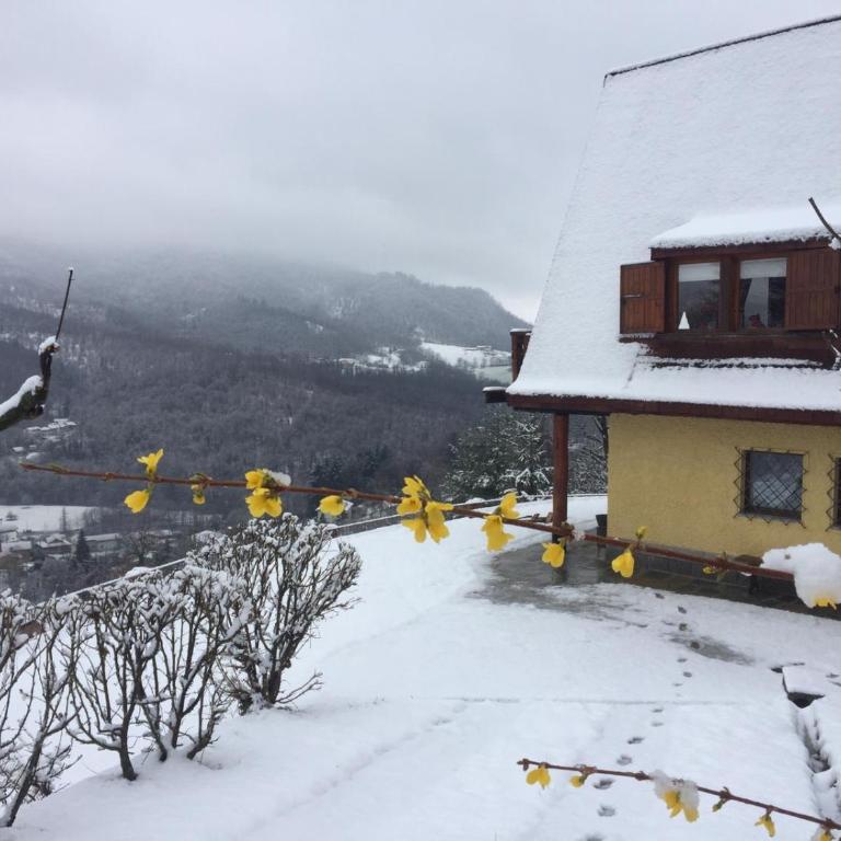 Chalet Alma - Chalet con 2 Camere da Letto - 40