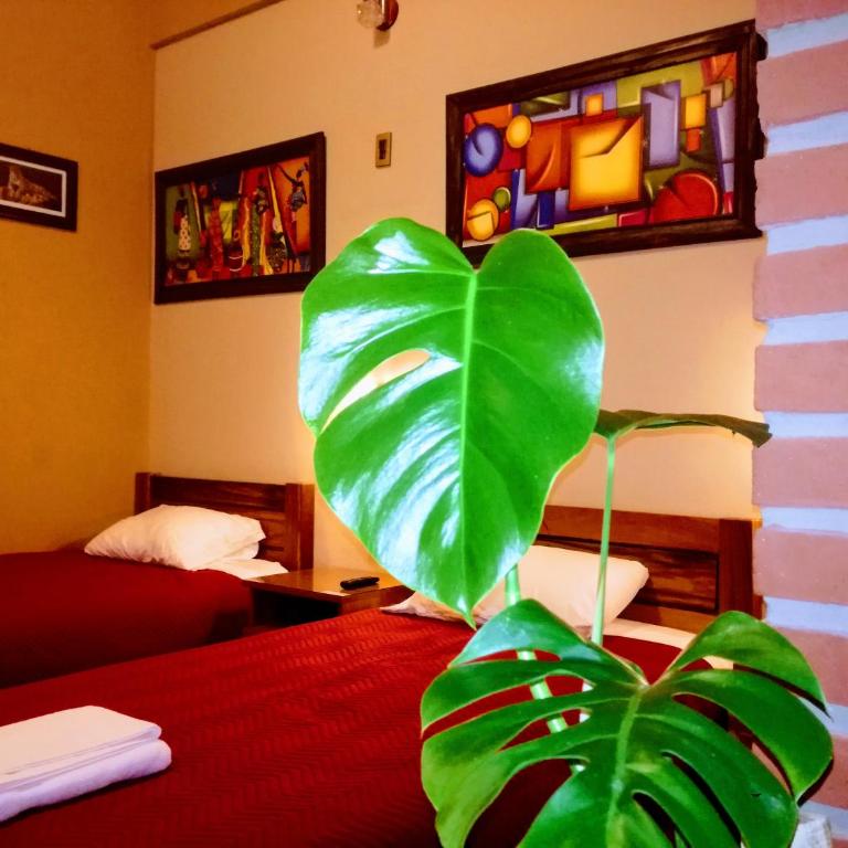 Hostal Cagnapa Restobar - Habitación Triple con baño privado - 5