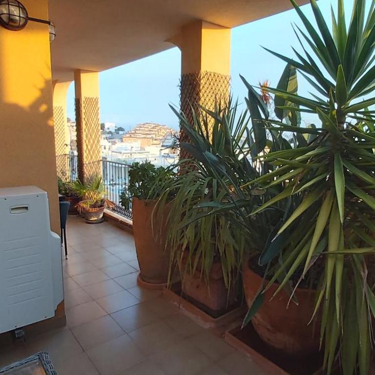 Los Almendricos Appartment - 3 bedrooms Orihuela Costa - Apartamento de 3 dormitorios - 44