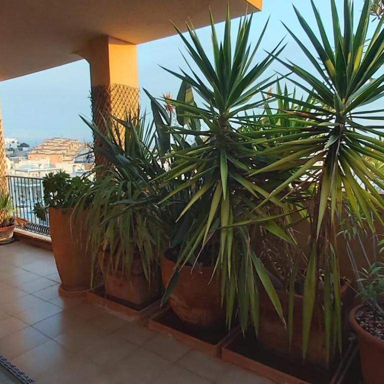 Los Almendricos Appartment - 3 bedrooms Orihuela Costa - Apartamento de 3 dormitorios - 42