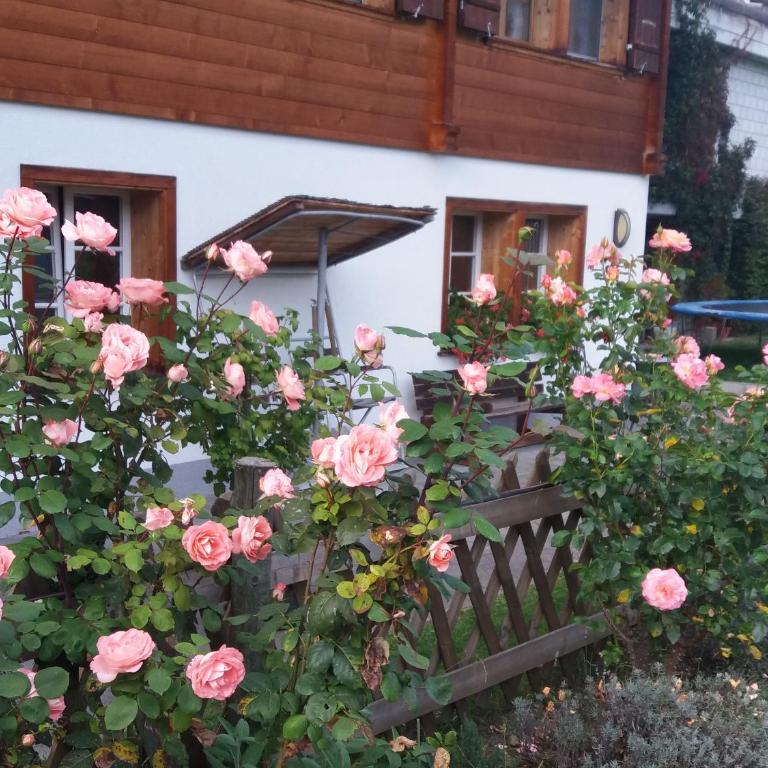 Chalet uf em Stutz 2 - Appartamento - 6