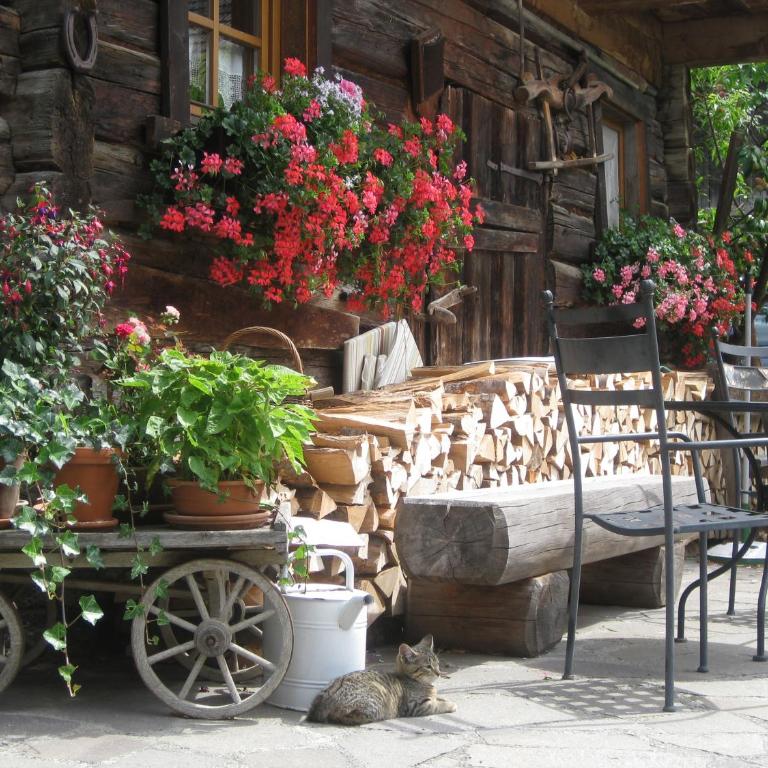 Chalet Auer's Zuahäusl - Chalet mit 2 Schlafzimmern - 21
