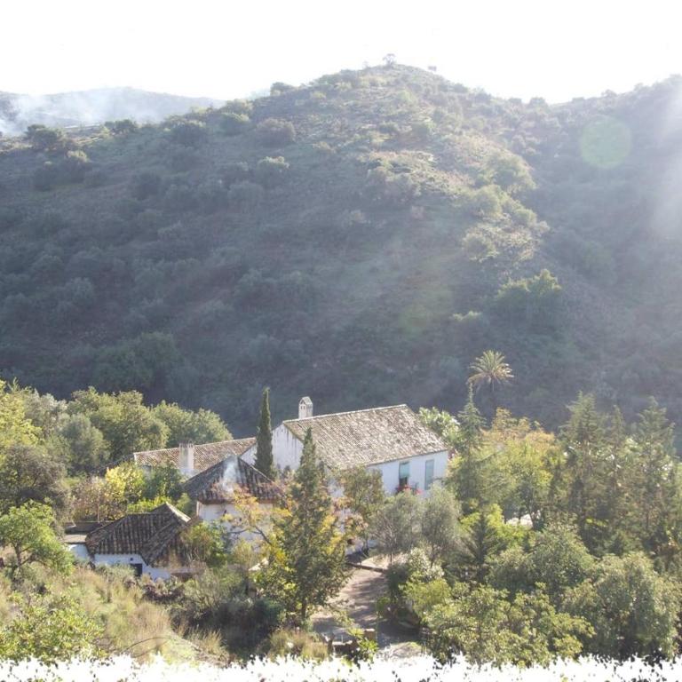Cortijo Casas Viejas - Villa con piscina privada - 4