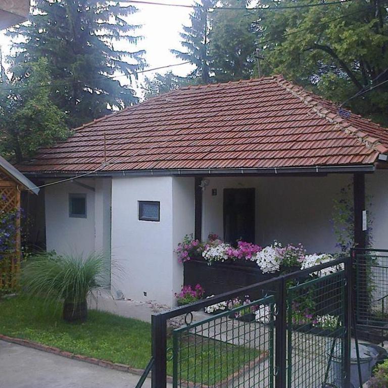 Kuca za odmor Ana, Sokobanja - Two-Bedroom Apartment - 19