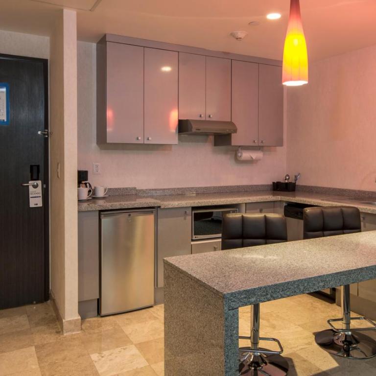 Holiday Inn Express & Suites Queretaro by IHG - King Studio Suite City View - 11