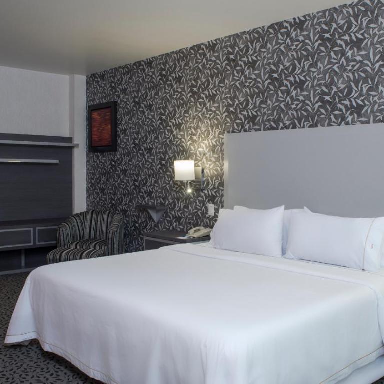 Holiday Inn Express & Suites Queretaro by IHG - King Room - Non-Smoking - 2
