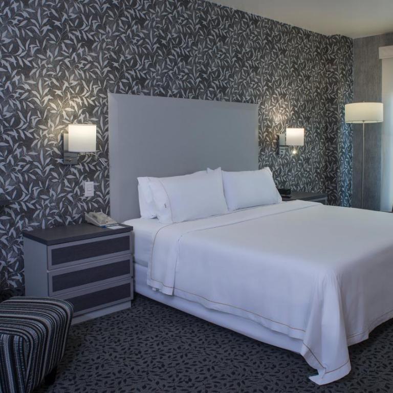 Holiday Inn Express & Suites Queretaro by IHG - King Room - Non-Smoking - 6
