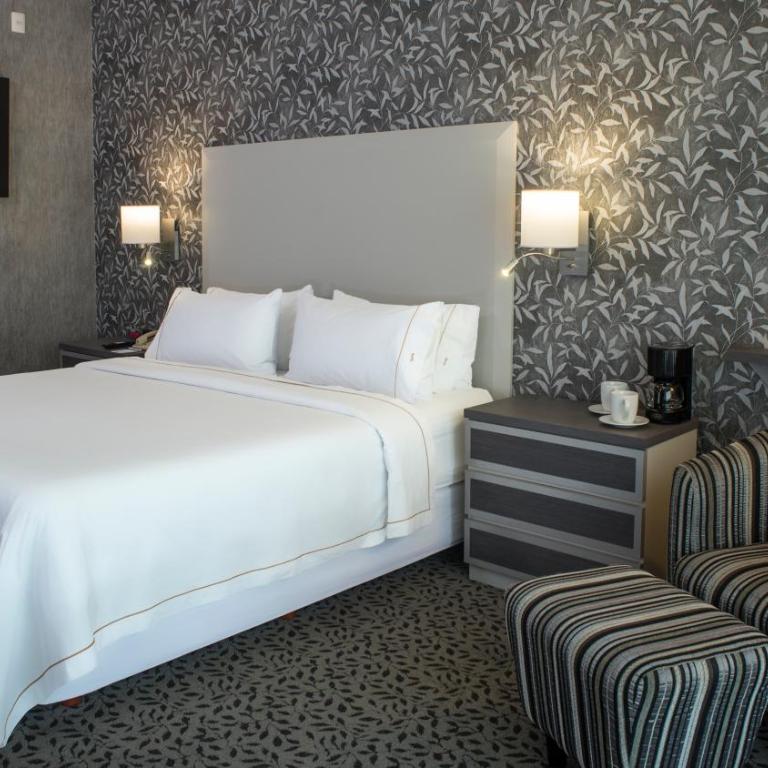 Holiday Inn Express & Suites Queretaro by IHG - Standard King Room with Mobility Accessible Roll-In Shower - 4