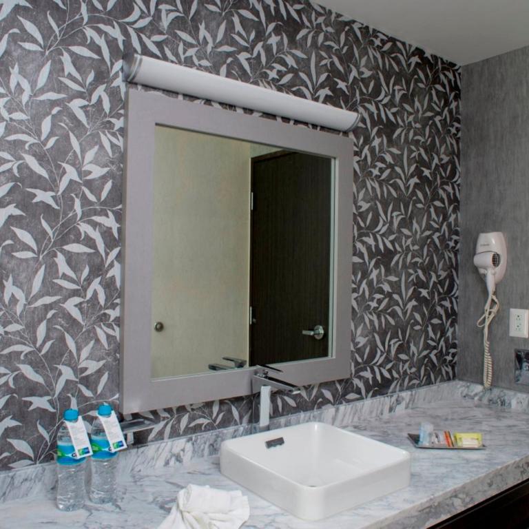 Holiday Inn Express & Suites Queretaro by IHG - King Studio Suite City View - 5
