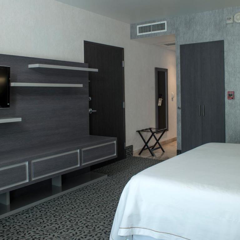 Holiday Inn Express & Suites Queretaro by IHG - Standard King Room with Mobility Accessible Roll-In Shower - 5