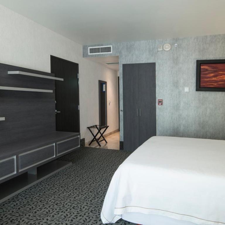 Holiday Inn Express & Suites Queretaro by IHG - Standard King Room with Mobility Accessible Roll-In Shower - 3