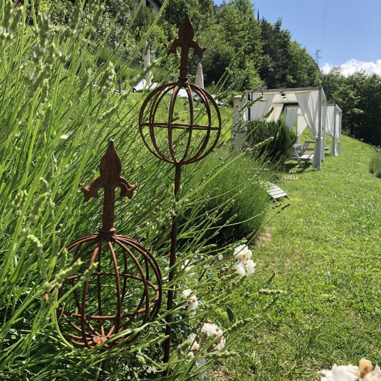 BnB Borgo le Vigne - L'Acqua vite Only Adults - Appartamento con Vista Giardino - 23