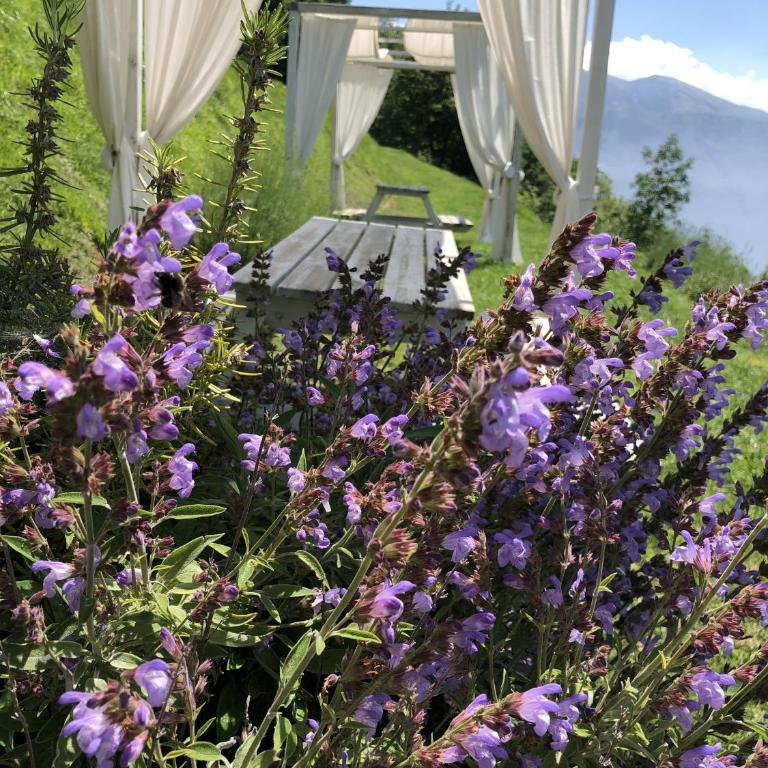 BnB Borgo le Vigne - L'Acqua vite Only Adults - Appartamento con Vista Giardino - 22